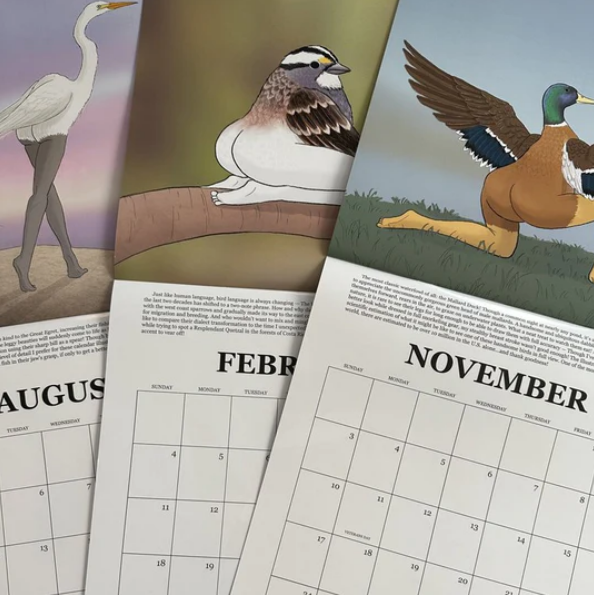 2024 CALENDAR OF EXTREMELY ACCURATE BIRDS