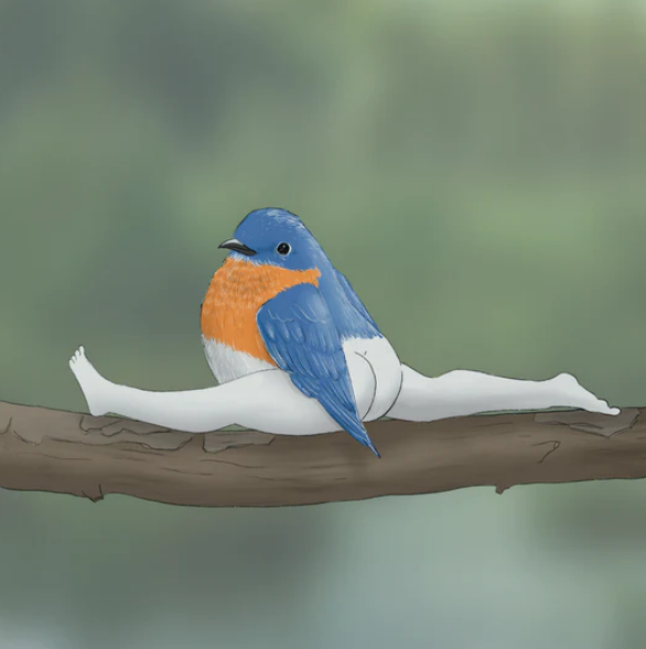 2024 CALENDAR OF EXTREMELY ACCURATE BIRDS