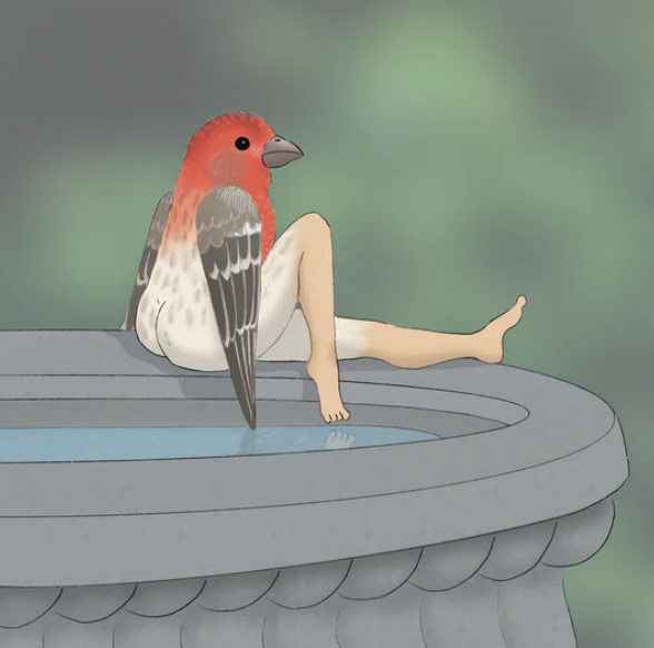 2024 CALENDAR OF EXTREMELY ACCURATE BIRDS